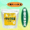 【期間限定】　イチョウ葉茶 【国産茶葉使用】　3個セット